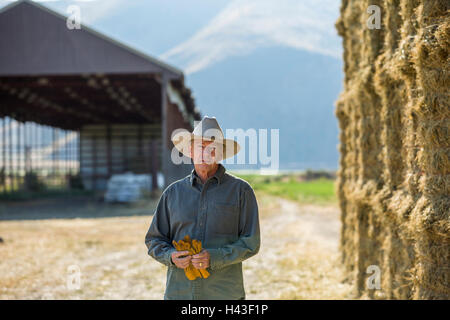 Caucasian farmer holding gloves near stacks of hay Stock Photo