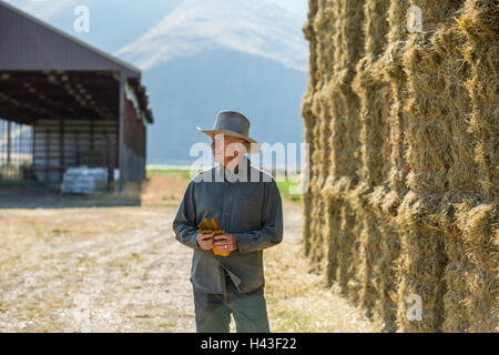 Caucasian farmer holding gloves near stacks of hay Stock Photo