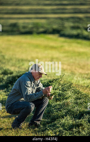 Caucasian farmer crouching in field checking crop Stock Photo