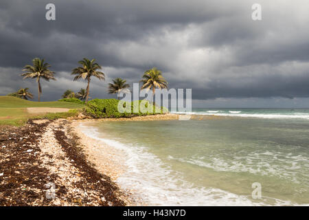 Stormy beach front in Jamaica Stock Photo