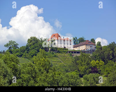 Germany, Baden-Wurttemberg, Tübingen-Unterjesingen, castle Roseck, bunting's valley, heaven, nursing home, castle building, nice book, vineyard, clouds, blue, nursing centre, building, structure, architecture, hill, inclination, viticulture, summer, outside, Tübingen, Unterjesingen, Stock Photo