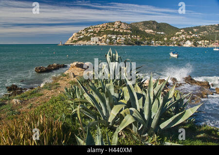 Spain, Majorca, port d'Andratx, Badia de Andratx, coast, winter, the Balearic Islands, Balearic Islands island, coastal region, coastal scenery, the Mediterranean Sea, holiday village, destination, tourism, Stock Photo