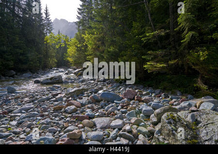 Mountain stream Bialka, Lysá Pol'ana, national park the high Tatra Mountains, Presovsky kraj, Slovakia, Stock Photo