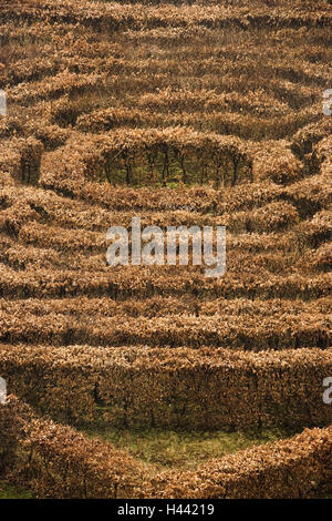 France, Bourgogne, Dijon, St.-Seine-sur-Vingeanne, castle garden, hedge, labyrinth, Stock Photo