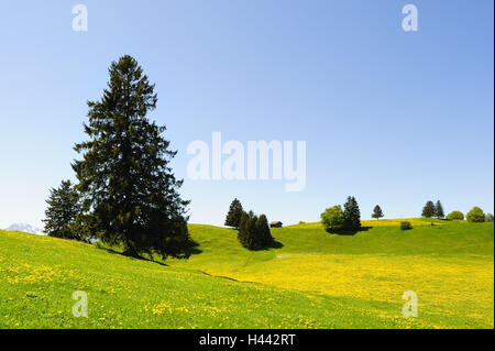 Germany, Bavaria, east Allgäu, scenery with feet, Stock Photo