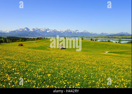 Germany, Bavaria, east Allgäu, Forggensee, close feet, Stock Photo