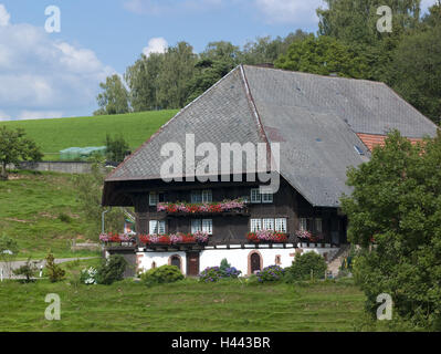 Germany, Baden-Wurttemberg, mill brook-Pfauss, mat court, Black Forest house, Stock Photo