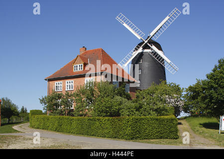 Germany, Mecklenburg-Western Pomerania, Woldegk, Dutch windmill in the Mühleberg, Stock Photo