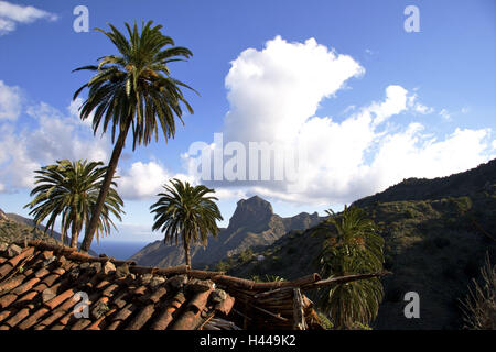 Spain, Canary islands, La Gomera, Macayo, roof, palms, mountains, Valle Hermoso, Stock Photo