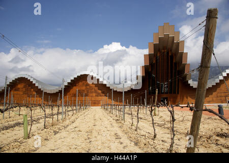 Spain, Laguardia, vineyard, Bodegas Ysios, vineyard, winter, Stock Photo