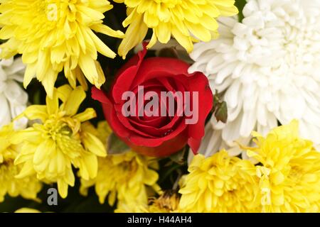 Red rose yellow spider chrysanthemum and white chrysanthemum flower mixed Stock Photo