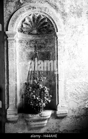 France, Bourgogne, Dijon, St.-Seine-sur-Vingeanne, castle, wall niche, stone relief, ivy, Stock Photo