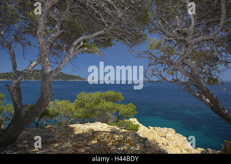 France, Cote d'Azur, pest de la Fossette, sea, coast, trees, Stock Photo