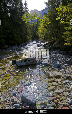 Mountain stream Bialka, Lysá Pol'ana, national park the high Tatra Mountains, Presovsky kraj, Slovakia, Stock Photo