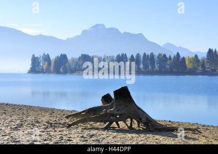 Germany, Bavaria, east Allgäu, Forggensee, close feet, Stock Photo