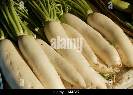 Daikon Radish on Threshing basket. Stock Photo