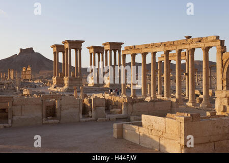 Syria, Palmyra, Säulenstrasse, Tetrapylon, stronghold Qalaat Ibn Maan, Stock Photo