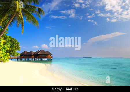 Tropical island with sandy beach, palm trees, overwater bungalows and tourquise clear water Stock Photo