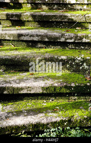 Stone stairs, moss-covered, detail, Stock Photo