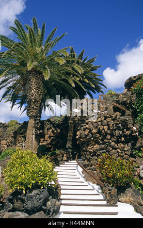 Spain, the Canaries, island Lanzarote, Jameos del Aqua, stairs, palms, Stock Photo