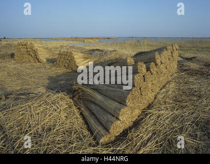Austria, Burgenland, new colonist lake, reed, tract, Stock Photo