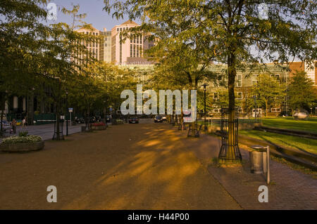 Evening mood in the west town hall, food, North Rhine-Westphalia, Germany, Stock Photo