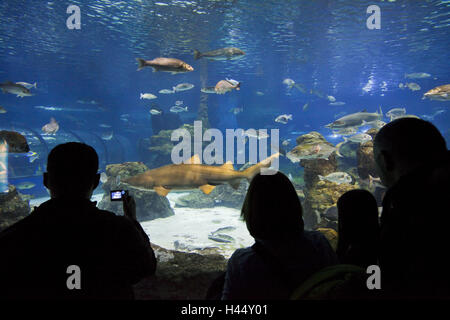 Spain, Catalonia, Barcelona, aquarium, fish, glass pane, silhouette, people, Stock Photo