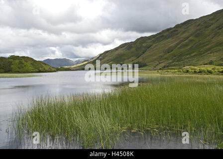Ireland, coast, Connemara, Kylemore Lough, scenery, lake, mountains, Connacht, Galway, hills, waters, shores, lakesides, reed, nature, green, deserted, rest, silence, Stock Photo