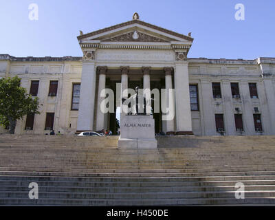 Stairs, university, Havana, Cuba, building, structure, historically, architecture, perron, statue, holiday destination, destination, the Caribbean, tourism, vacation, place of interest, college, education, perron, stairs rising, sculpture, person, student, Stock Photo