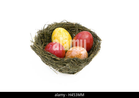 Easter nest, eggs, brightly, four, cut out, Easter, Easter feast, custom, Easter custom, traditions, nest, Easter eggs, colorfully, yellow, red, orange, hay, hay nest, conception, childhood, product photography, studio, Stock Photo