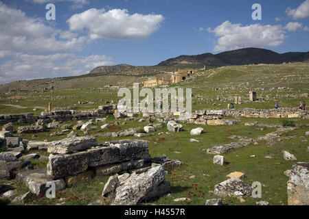 Turkey, province Denizli, Hierapolis, Apollotempel, ruin field, theatre, Pamukkale, ruin site, Apollo temple, ruin, temple ruin, temple, place of interest, tourism, stones, meadow, flowers, red, people, tourists, Stock Photo