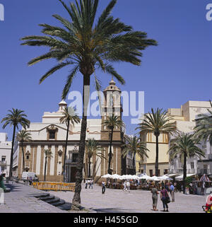 Spain, Andalusia, Cadiz, plaza de la, Catedral, Iglesia de Santiago, palms, Europe, town, destination, place of interest, space, church, cathedral, church, sacred construction, faith, religion, Christianity, architecture, building, outside, people, tourists, street cafes, Stock Photo