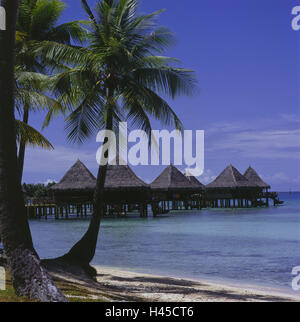 French Polynesia, Rangiroa, sea, building on stilts, the Pacific, coast, beach, palm beach, hut, holiday's plant, destination, tourism, Stock Photo