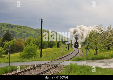 Germany, Baden-Wurttemberg, Welzheim (town), Swabian forest train, Stock Photo