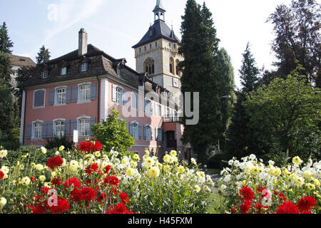 Switzerland, Thurgau, Arbon, church St. Martin, tower, red house, flowers, destination, town, place of interest, Lake Constance region, building, architecture, outside, deserted, church, sacred construction, steeple, tower, faith, religion, Christianity, summer, sunny, Stock Photo