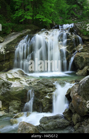 Waterfall, Pöllatschlucht, swan's region, Allgäu, Bavaria, Germany, Stock Photo