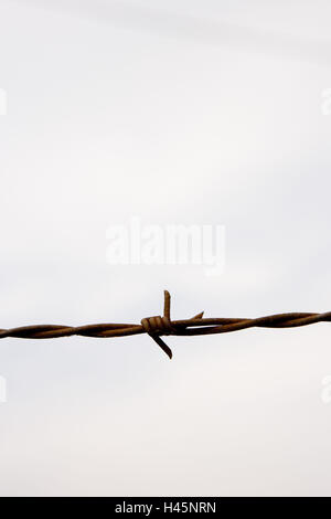 Barbed wire, close up, Stock Photo