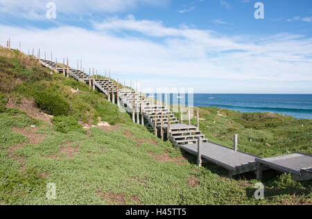 Metal walkway through the lush dunes with an Indian Ocean seascape at Penguin Island in Rockingham, Western Australia. Stock Photo