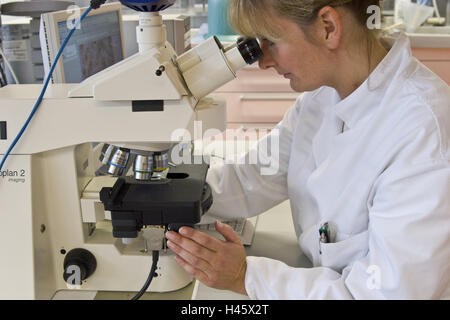 Chemicals companies, laboratory assistant, view, microscope, concentration, Germany, North Rhine-Westphalia, Marl, Evonik, nanotechnology, Nanotronics, company, chemistry, special chemistry, occupation, work, woman, person, employee, scientist, light microscope, slide, enlargement, Zeiss, research, development, laboratory examination, examination, science, analysis, evaluation, industry, technology, Stock Photo