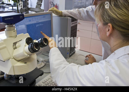 Laboratory, scientists, view, display, results analysis, Germany, North Rhine-Westphalia, Marl, Evonik, chemicals company, company, nanotechnology, Nanotronics, chemistry, special chemistry, occupation, work, laboratory smock, smock, research, computer, computer, development, data analysis, analysis, evaluation, results, laboratory examination, examination, science, women, researchers, people, point, Mirkroskop, light microscope, Zeiss, industry, technology, Stock Photo