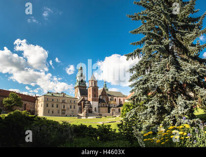 Summer Wawel cathedral on Wawel Hill in Krakow, Poland Stock Photo