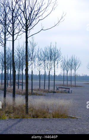 Landscape architecture, Riemer Park, Germany, Munich, autumn, Stock Photo