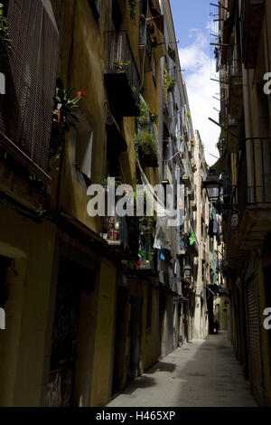 Spain, Catalonia, Barcelona, Barrio, Gotico, lane, Europe, town, destination, part town, building, structures, architecture, historically, outside, Closely, narrowly, residential houses, balconies, plants, flowers, deserted, Stock Photo