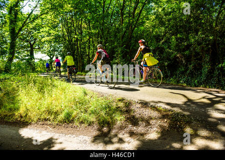 Group of female cyclists on lane near Bispham Green in West Lancashire Stock Photo