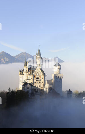 Germany, Bavaria, Allgäu, castle new swan's stone, fog, attraction, structure, outside, king, culture, lock, fairytale castle, place of interest, destination, structure, Europe, royal castle, Ludwig, architecture, architectural style, to feet, landmarks, Stock Photo