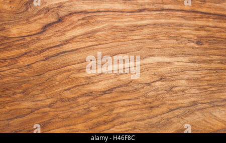 Background texture cut olive wooden tree Stock Photo