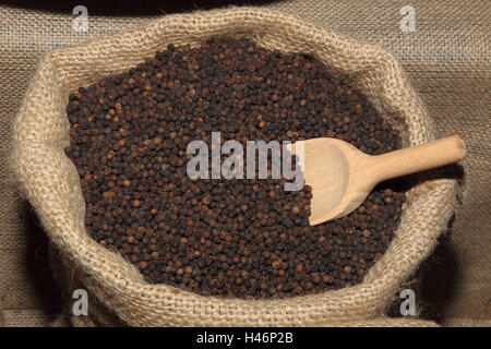 Black peppercorn, Stock Photo