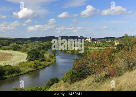 Germany, Saxony-Anhalt, Wettin, nature reserve Lower Saale Valley, Stock Photo