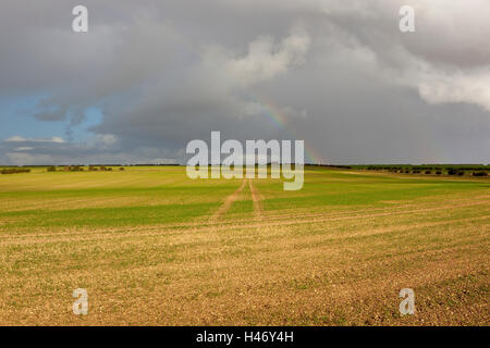 Autumn landscape with rain clouds and a rainbow over fields of seedling cereal crops on the Yorkshire wolds. Stock Photo