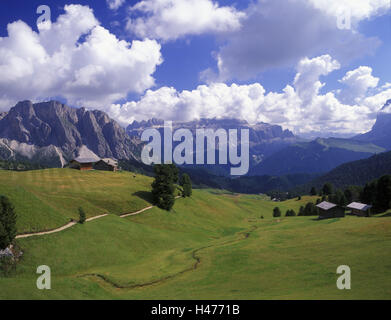 Italy, South Tyrol, the Dolomites, Grödental, St. Christina, Col Raiser, Stevia Massif (on the left) and Sella group (on the right), Stock Photo